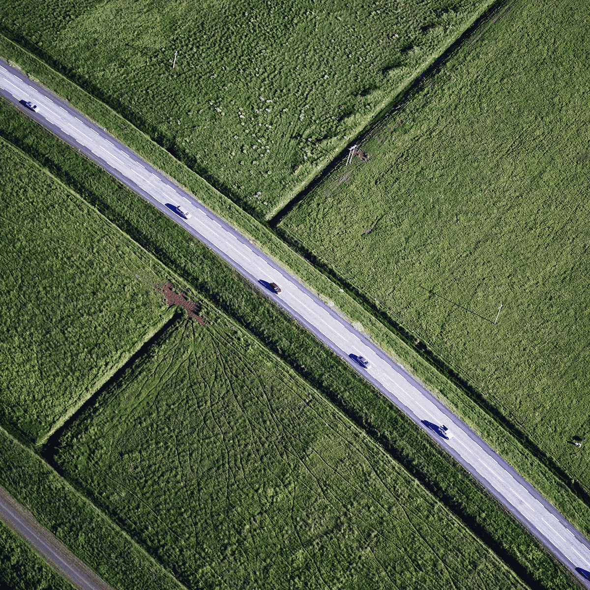 epub Courtesans, Concubines,