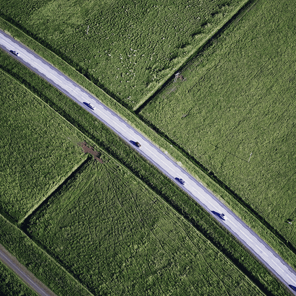 epub Courtesans, Concubines,